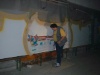 siefert 1